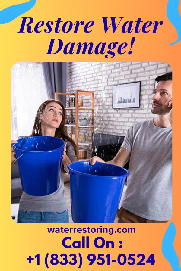 water restoration Trusted Water Works Experts Presquille